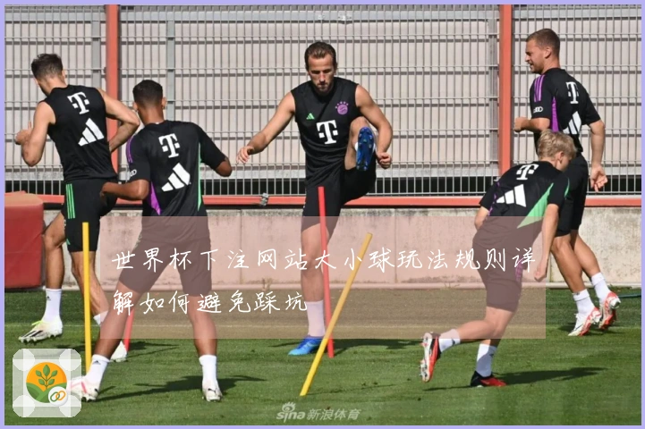 世界杯下注网站大小球玩法规则详解如何避免踩坑