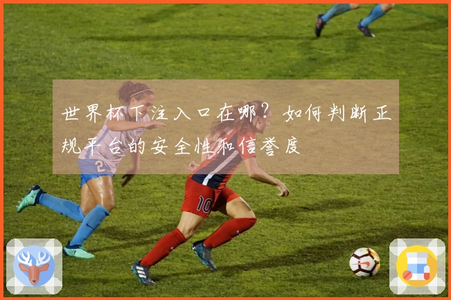 世界杯下注入口在哪？如何判断正规平台的安全性和信誉度
