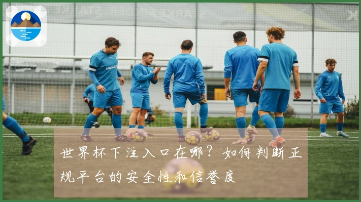 世界杯下注入口在哪？如何判断正规平台的安全性和信誉度