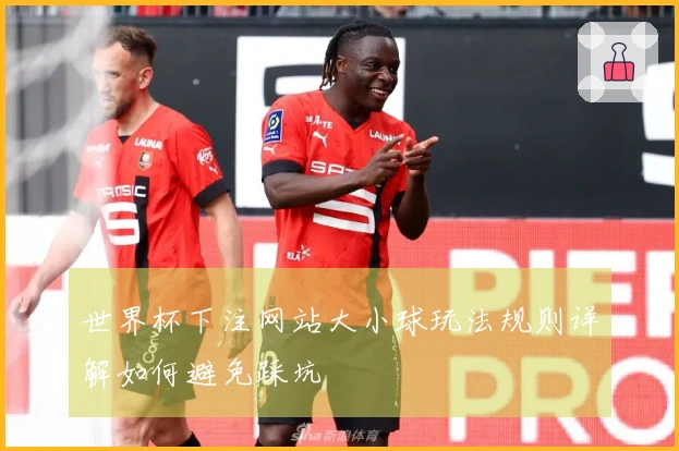 世界杯下注网站大小球玩法规则详解如何避免踩坑